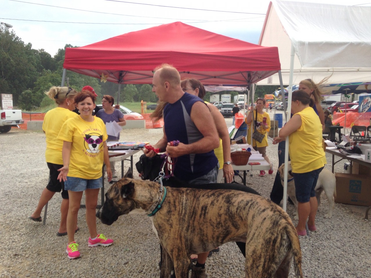 Canine Carnival and Mardi Paws 2013