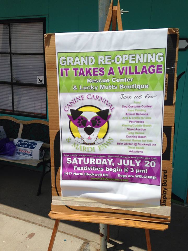 Canine Carnival and Mardi Paws 2013