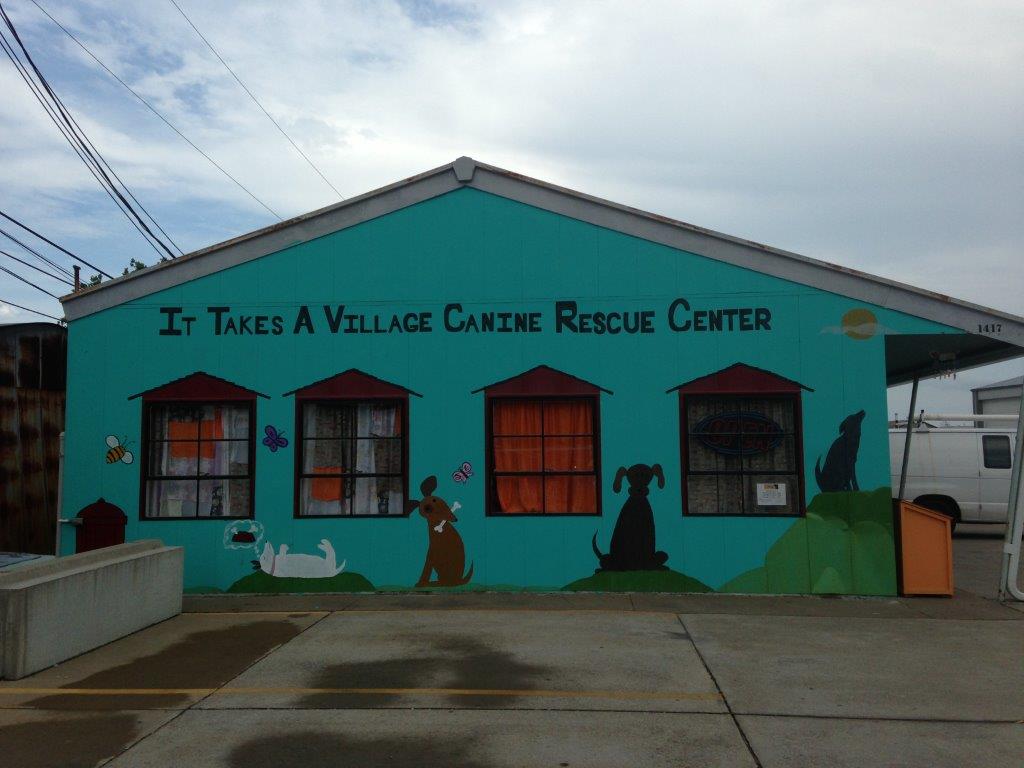 It Takes a Village Rescue Center